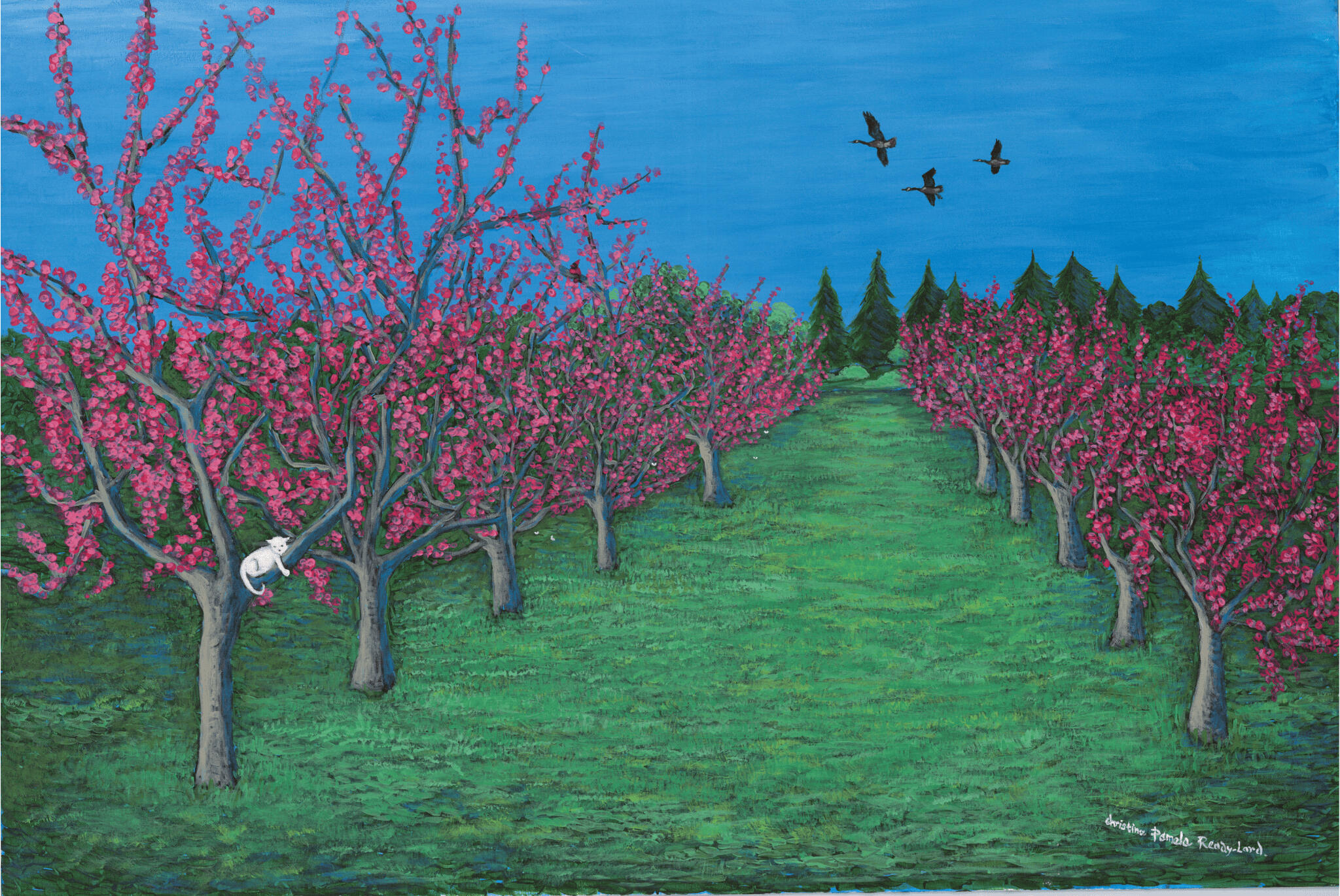 Print of an acrylic fine arts painting of cherry blossom trees. There is a cat resting in one of the trees in this painting. A colourful landscape painting by a Canadian artist.